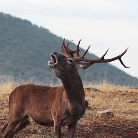 Alojamiento Rural Dehesa La Estancia Andujar Luaran gambar