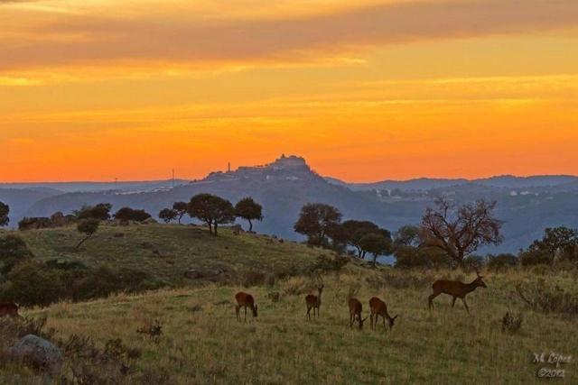 Alojamiento Rural Dehesa La Estancia Andujar Luaran gambar